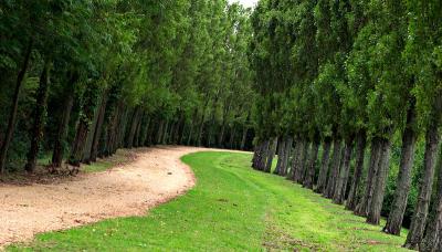 Avenue *