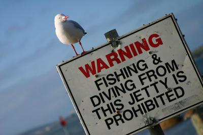 Warning *
