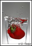 1st Place<br><b>Splash!</b><br><font size=1>by Nicholas J