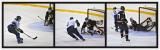 <b>Grand Theft Hockey</b><br><i>j trujillo</i>