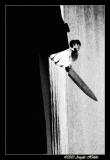 10th Place<br><B>Fear</B><BR><I>by Angela Holder</I>