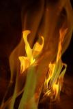 <b>The Bonfire of the Vanities</b> *<br>by Catherine Reymond (Wismie)