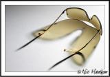 <b>8th Place (Tie)</b><br><i>eye eye<br>by Nicholas J</i>