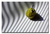 <b>Pear*</b><br><i>Alan Hartmann</i>