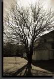 <b>Shadow Of An Earlier Time</b>*<br><font size=-1>by Ed Hahn</font>