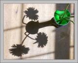 <b>10th Place</b><br><i>daisies<br>by upsidedown</i>