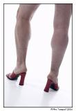 <b>That Way Inclined.....  *</b><br><i>by Mrs. Teapot</i>