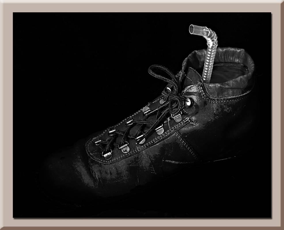 9th Place<br><b>Das Boot</b><br><i>j trujillo</i>