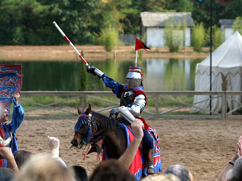 <b>A Knights Tale *</b><br>by Brian Cao