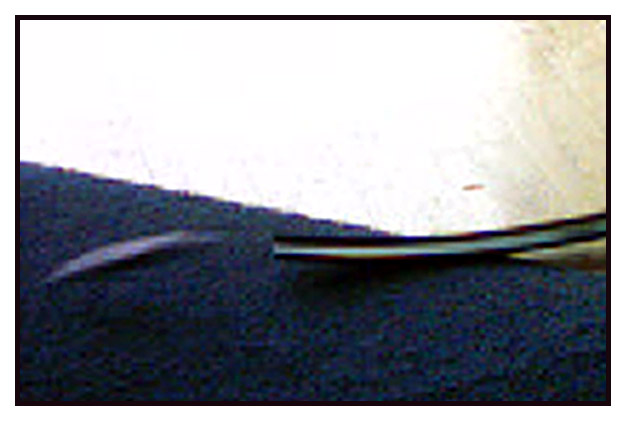 <B>Speed</B><BR><FONT size=2>by Madison Waud</FONT>