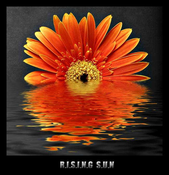 2nd Place<br><B>Rising Sun</B><BR>*<FONT size=2>by Vikas</FonT>