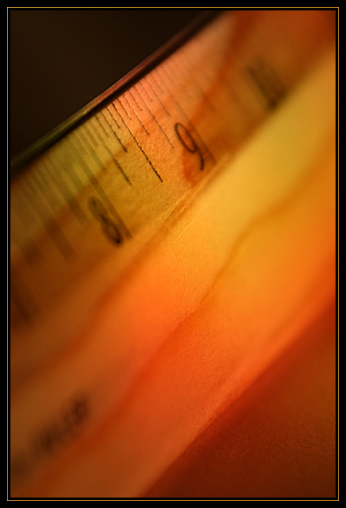 <b>8 1/2</b> <br> * Lev Bass