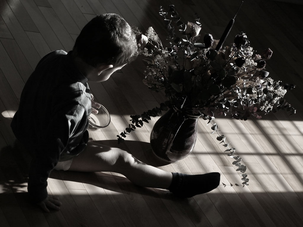 <b>5th Place (Tie)</b><br><i>Son Flower<br>by Bernard Maltais</i>