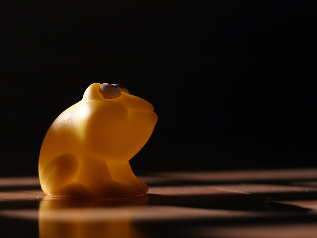 * Glow in the Shade<Br>By Bernard Maltais.jpg