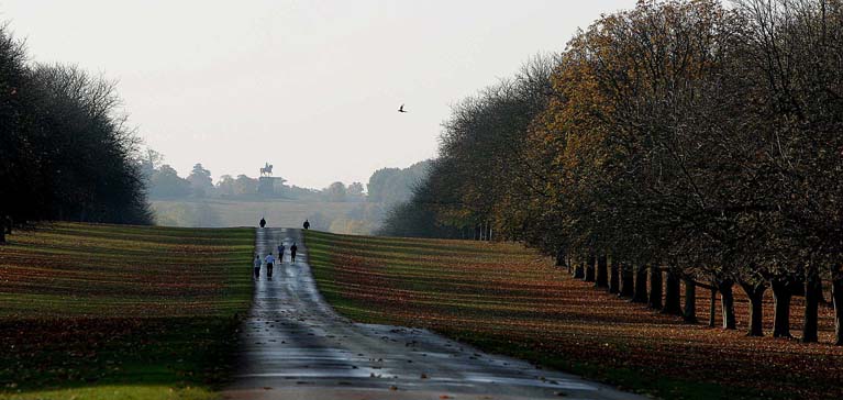 <B>Morning Glory*</B><BR><FONT size=3>by Peter Woods