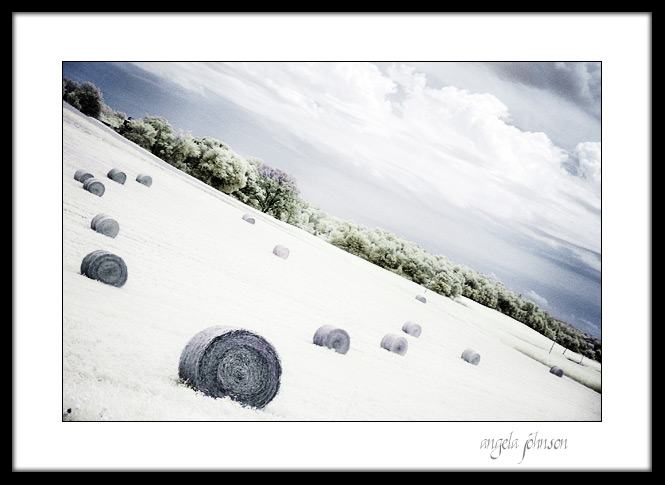 <b>Hay Bales</b><br><i>AJ</i><br><b>6th Place</b>