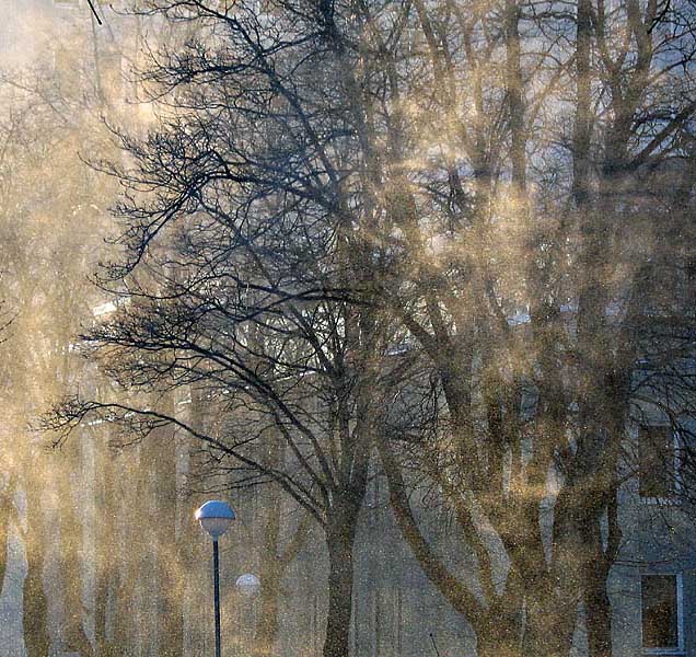 <b>10th Place</b><br>Face of the Wind *<br><i>by Alexeig</i>