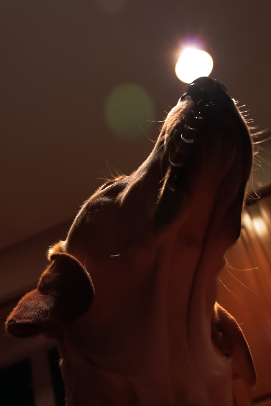 Reach for the light *