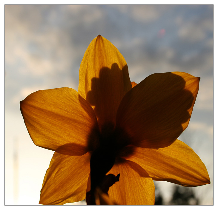 Early Spring *