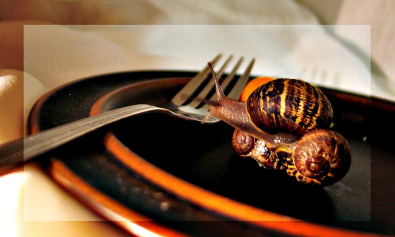 Escargot  *