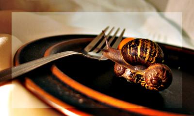 Escargot  *