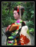 Geisha