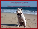 Ocean Spray Dog Food *