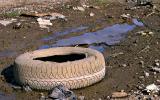 <b>Tyred and Alone</b> *