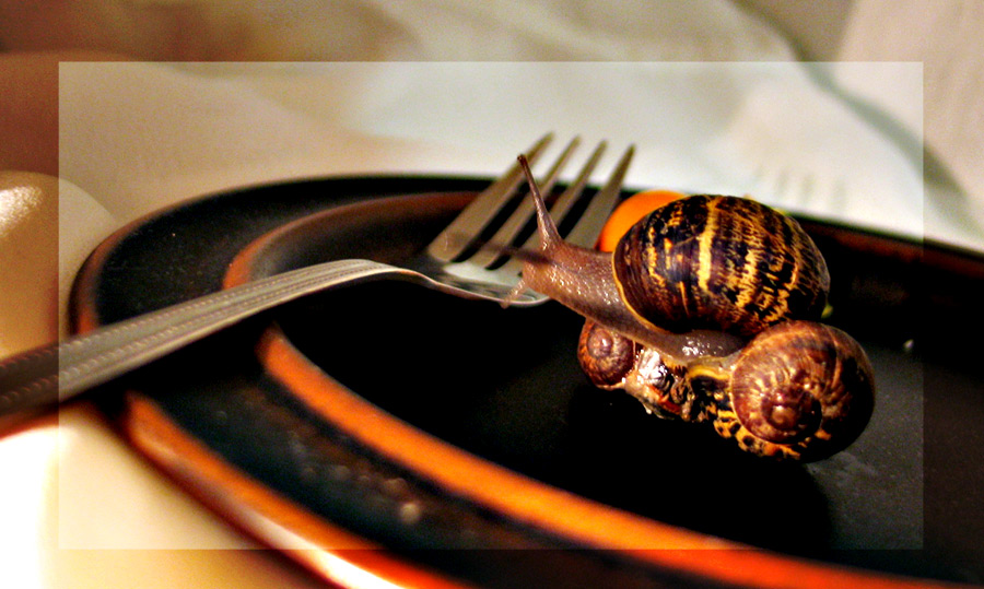 Escargot  *