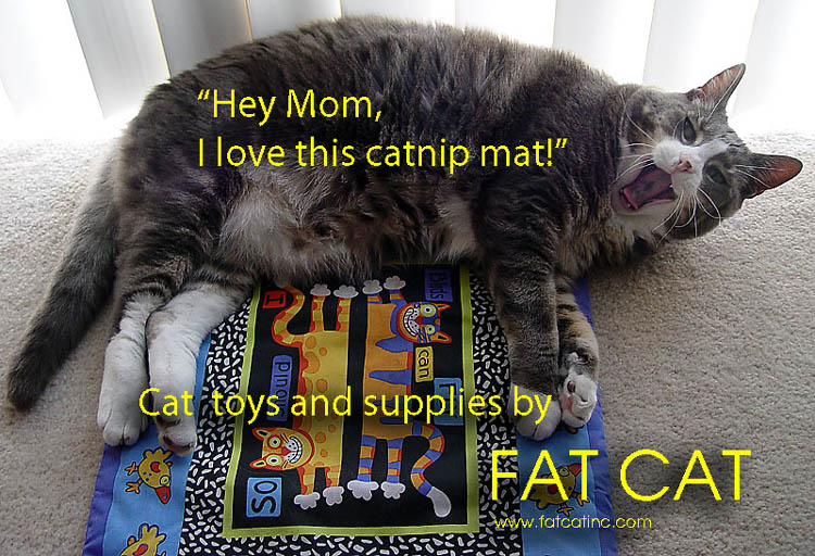 <B>Fat Cat</B>