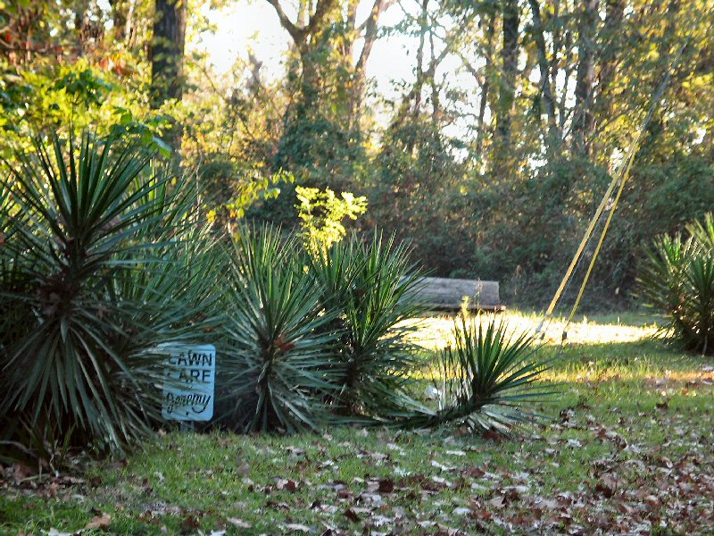 Lawn Care by Jeremy *