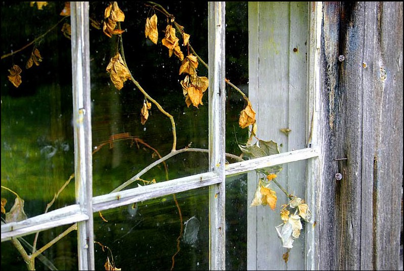 Dying To Get Out