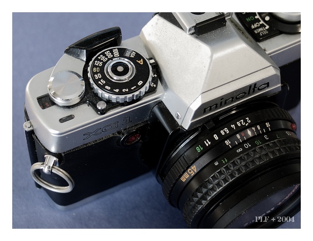 photographer(*)