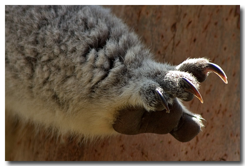 Reaching Out (*)