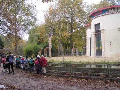 giraffe exhibit,, Antwerp Zoo