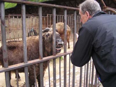 Friends, Antwerp Zoo