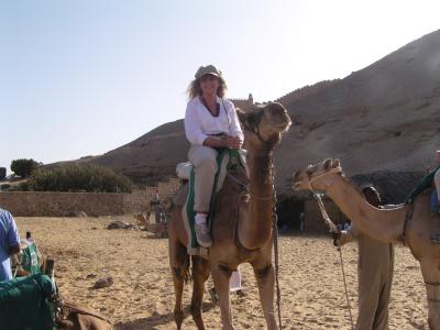 Carol Camel 2  Ready to ride.