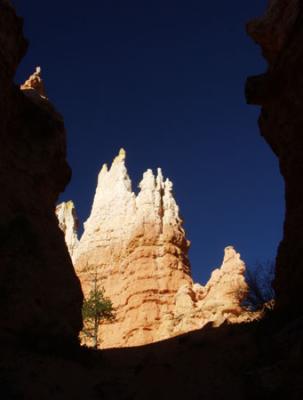 Bryce Canyon Hoodoos.jpg