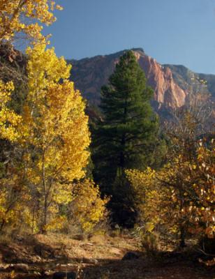 Kolob Canyon Color.jpg