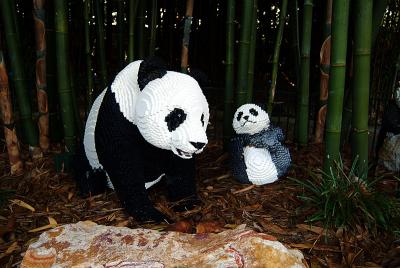 Awww... Pandas.  How cute.