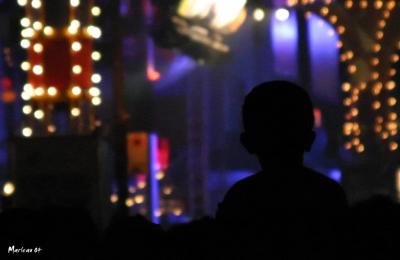 SilhouetteEnf_2297af.jpg
