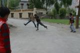 Cricket