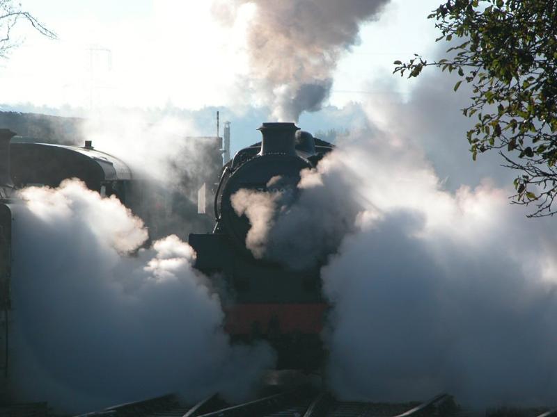 GOS_251003_73.jpg