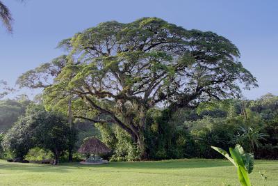 Belize