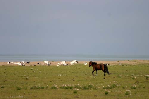 Tibet 2004