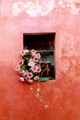 Old Pink Wall