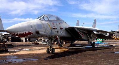 u35/davidroyimages/medium/40465848.m11.jpg