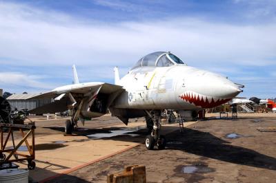 u35/davidroyimages/medium/40466007.m28.jpg