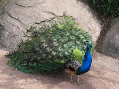 IMG_5618EC.jpg
