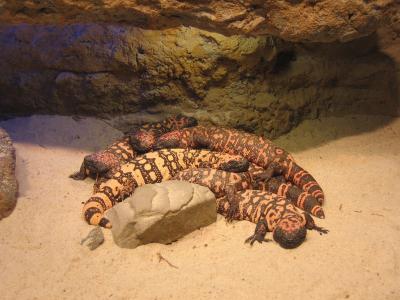 IMG_5655EC.jpg